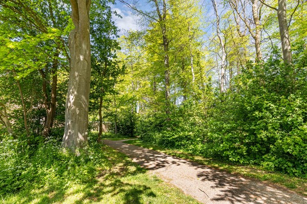 Foto Kerkstraat 23 Luttelgeest 45.jpg